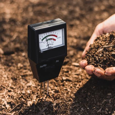 using a moisture meter for tomato plants|tomatoville moisture meter reviews.